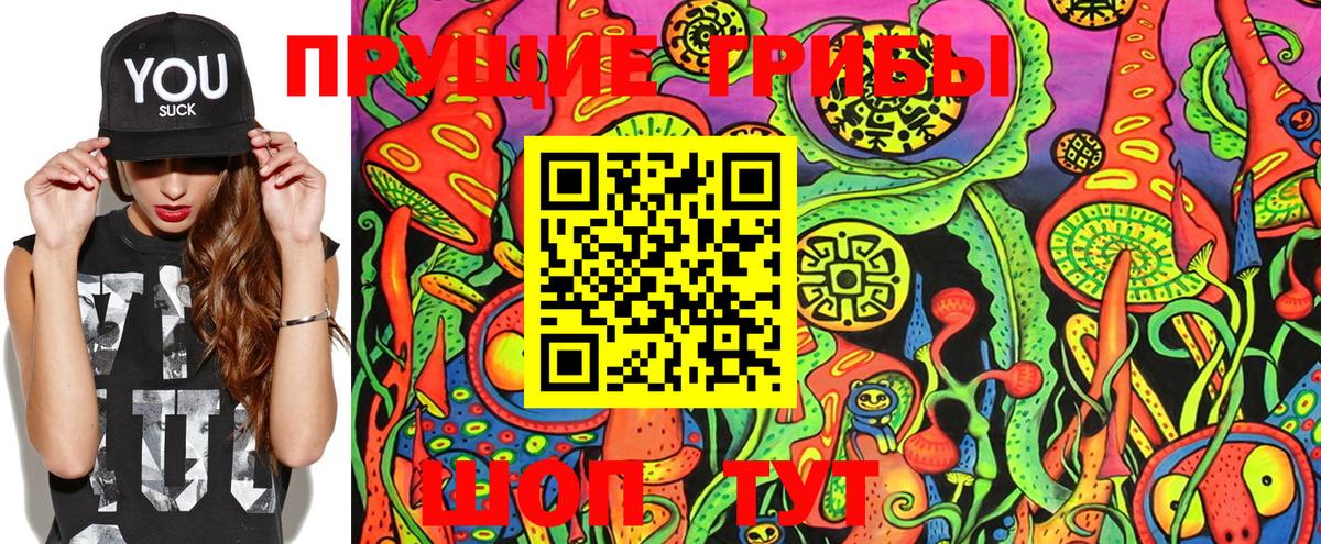 Галлюциногенные грибы Psilocybe  Вход с VPN  где продают   Зима 